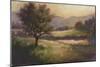 Foothills of Appalachia I-Ethan Harper-Mounted Art Print