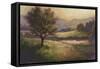 Foothills of Appalachia I-Ethan Harper-Framed Stretched Canvas