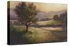 Foothills of Appalachia I-Ethan Harper-Stretched Canvas