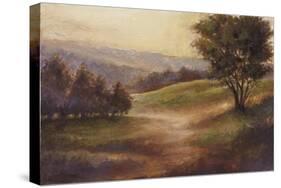 Foothills of Appalachia II-Ethan Harper-Stretched Canvas