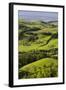 Foothills of the Alps, Near Waidhofen in the Ybbs, Lower Austria, Austria-Rainer Mirau-Framed Photographic Print