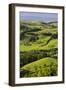 Foothills of the Alps, Near Waidhofen in the Ybbs, Lower Austria, Austria-Rainer Mirau-Framed Photographic Print