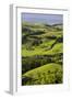 Foothills of the Alps, Near Waidhofen in the Ybbs, Lower Austria, Austria-Rainer Mirau-Framed Photographic Print