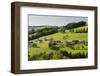 Foothills of the Alps, Near Waidhofen in the Ybbs, Lower Austria, Austria-Rainer Mirau-Framed Photographic Print