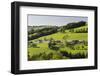 Foothills of the Alps, Near Waidhofen in the Ybbs, Lower Austria, Austria-Rainer Mirau-Framed Photographic Print