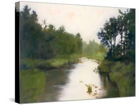 Foothills Stream-Megan Lightell-Stretched Canvas