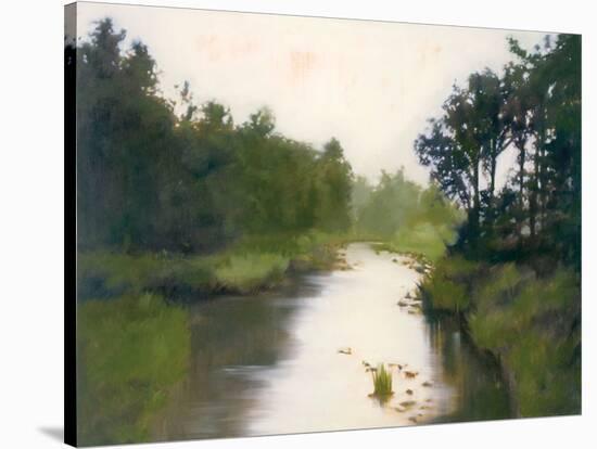 Foothills Stream-Megan Lightell-Stretched Canvas