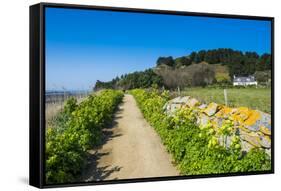 Footpath Above a Long Sandy Beach on the East Coast of Herm, Channel Islands, United Kingdom-Michael Runkel-Framed Stretched Canvas