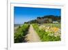 Footpath Above a Long Sandy Beach on the East Coast of Herm, Channel Islands, United Kingdom-Michael Runkel-Framed Photographic Print