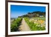 Footpath Above a Long Sandy Beach on the East Coast of Herm, Channel Islands, United Kingdom-Michael Runkel-Framed Photographic Print