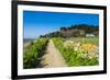 Footpath Above a Long Sandy Beach on the East Coast of Herm, Channel Islands, United Kingdom-Michael Runkel-Framed Photographic Print