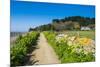 Footpath Above a Long Sandy Beach on the East Coast of Herm, Channel Islands, United Kingdom-Michael Runkel-Mounted Photographic Print