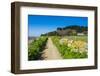 Footpath Above a Long Sandy Beach on the East Coast of Herm, Channel Islands, United Kingdom-Michael Runkel-Framed Photographic Print