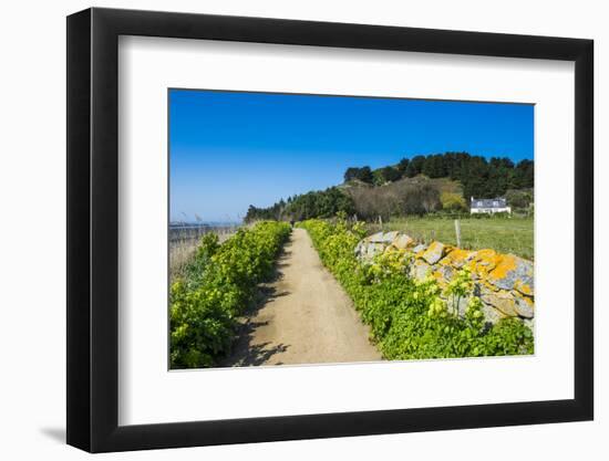 Footpath Above a Long Sandy Beach on the East Coast of Herm, Channel Islands, United Kingdom-Michael Runkel-Framed Photographic Print