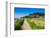 Footpath Above a Long Sandy Beach on the East Coast of Herm, Channel Islands, United Kingdom-Michael Runkel-Framed Photographic Print