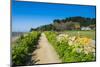 Footpath Above a Long Sandy Beach on the East Coast of Herm, Channel Islands, United Kingdom-Michael Runkel-Mounted Photographic Print