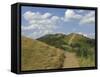 Footpath Along the Main Ridge of the Malvern Hills, Worcestershire, Midlands, England-David Hughes-Framed Stretched Canvas