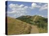 Footpath Along the Main Ridge of the Malvern Hills, Worcestershire, Midlands, England-David Hughes-Stretched Canvas