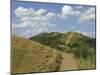 Footpath Along the Main Ridge of the Malvern Hills, Worcestershire, Midlands, England-David Hughes-Mounted Photographic Print