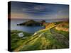 Footpath Along the Rumps, Pentire Point, Near Polzeath, Cornwall, UK-Ross Hoddinott-Stretched Canvas