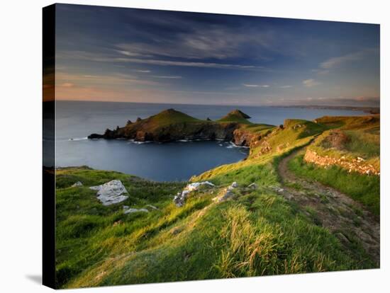 Footpath Along the Rumps, Pentire Point, Near Polzeath, Cornwall, UK-Ross Hoddinott-Stretched Canvas