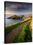 Footpath Along the Rumps, Pentire Point, Near Polzeath, Cornwall, UK-Ross Hoddinott-Stretched Canvas