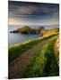 Footpath Along the Rumps, Pentire Point, Near Polzeath, Cornwall, UK-Ross Hoddinott-Mounted Premium Photographic Print
