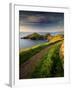 Footpath Along the Rumps, Pentire Point, Near Polzeath, Cornwall, UK-Ross Hoddinott-Framed Photographic Print