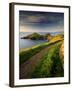 Footpath Along the Rumps, Pentire Point, Near Polzeath, Cornwall, UK-Ross Hoddinott-Framed Photographic Print