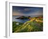 Footpath Along the Rumps, Pentire Point, Near Polzeath, Cornwall, UK-Ross Hoddinott-Framed Photographic Print