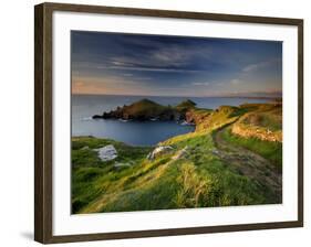 Footpath Along the Rumps, Pentire Point, Near Polzeath, Cornwall, UK-Ross Hoddinott-Framed Photographic Print