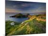 Footpath Along the Rumps, Pentire Point, Near Polzeath, Cornwall, UK-Ross Hoddinott-Mounted Photographic Print