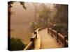 Footpath and Pavillon, West Lake, Hangzhou, Zhejiang Province, China, Asia-Jochen Schlenker-Stretched Canvas