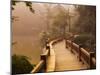 Footpath and Pavillon, West Lake, Hangzhou, Zhejiang Province, China, Asia-Jochen Schlenker-Mounted Premium Photographic Print