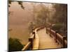 Footpath and Pavillon, West Lake, Hangzhou, Zhejiang Province, China, Asia-Jochen Schlenker-Mounted Photographic Print