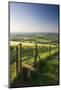 Footpath and style through fields, Raddon Hill, Mid Devon, England. Summer (July) 2009-Adam Burton-Mounted Photographic Print