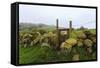 Footpath Gate and Dry Stone Wall Near Elton on a Murky Spring Day-Eleanor Scriven-Framed Stretched Canvas