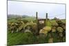 Footpath Gate and Dry Stone Wall Near Elton on a Murky Spring Day-Eleanor Scriven-Mounted Photographic Print
