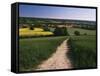 Footpath, Heaversham, Near Sevenoaks, North Downs, Kent, England, United Kingdom-David Hughes-Framed Stretched Canvas