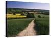 Footpath, Heaversham, Near Sevenoaks, North Downs, Kent, England, United Kingdom-David Hughes-Stretched Canvas