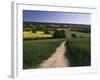 Footpath, Heaversham, Near Sevenoaks, North Downs, Kent, England, United Kingdom-David Hughes-Framed Photographic Print