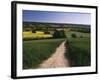 Footpath, Heaversham, Near Sevenoaks, North Downs, Kent, England, United Kingdom-David Hughes-Framed Photographic Print