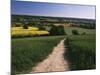 Footpath, Heaversham, Near Sevenoaks, North Downs, Kent, England, United Kingdom-David Hughes-Mounted Photographic Print