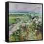 Footpath in Early summer-Sylvia Paul-Framed Stretched Canvas