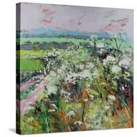 Footpath in Early summer-Sylvia Paul-Stretched Canvas