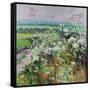 Footpath in Early summer-Sylvia Paul-Framed Stretched Canvas