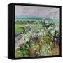 Footpath in Early summer-Sylvia Paul-Framed Stretched Canvas