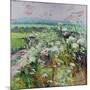 Footpath in Early summer-Sylvia Paul-Mounted Giclee Print