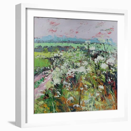 Footpath in Early summer-Sylvia Paul-Framed Giclee Print