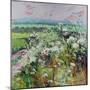 Footpath in Early summer-Sylvia Paul-Mounted Giclee Print